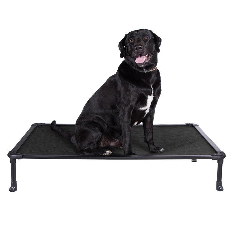 Chew proof dog sales cot